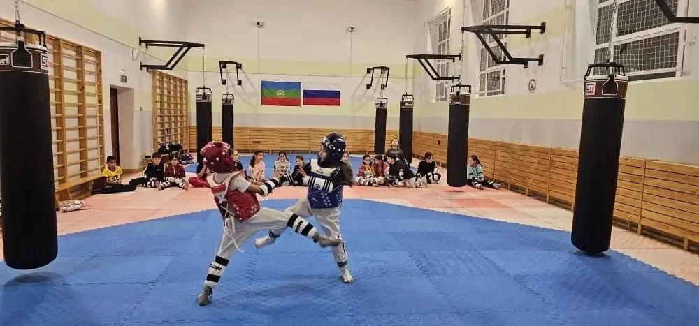 Карачаево-Черкесия вошла в число лидеров рейтинга регионов по развитию спорта 